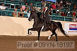 09yn-18197 proof