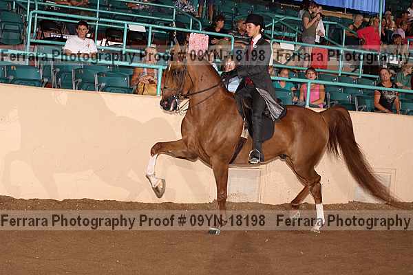 Proof 09yn-18198