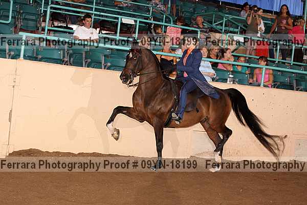 Proof 09yn-18199
