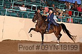09yn-18199 proof