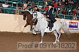 09yn-18202 proof
