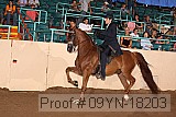 09yn-18203 proof