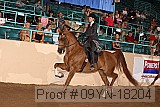 09yn-18204 proof