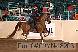 09yn-18206 proof