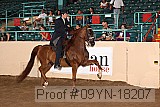 09yn-18207 proof