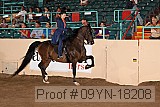 09yn-18208 proof