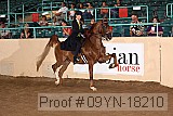 09yn-18210 proof