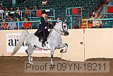 09yn-18211 proof