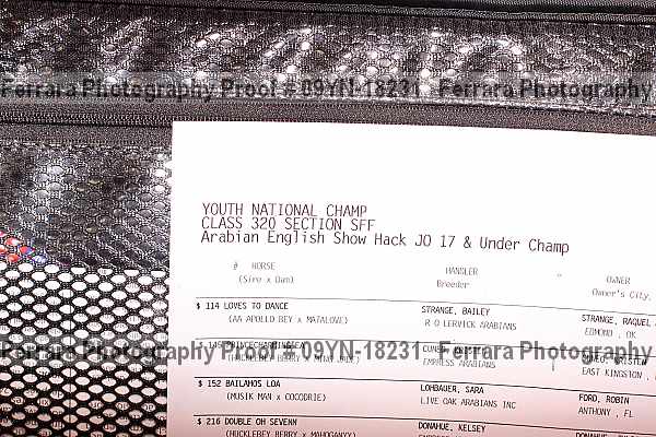 Proof 09yn-18231