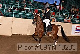 09yn-18233 proof