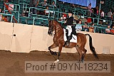 09yn-18234 proof