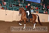 09yn-18236 proof
