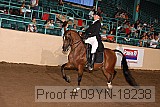 09yn-18238 proof