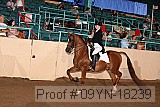09yn-18239 proof