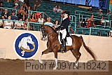 09yn-18242 proof