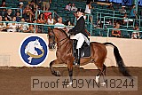 09yn-18244 proof