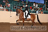 09yn-18245 proof