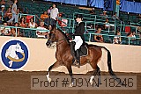 09yn-18246 proof