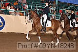 09yn-18248 proof