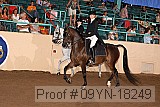 09yn-18249 proof