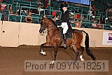 09yn-18251 proof