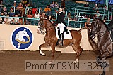 09yn-18252 proof