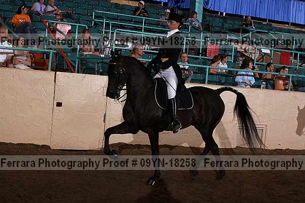 Proof 09yn-18258