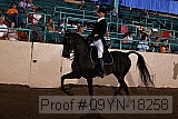 09yn-18258 proof