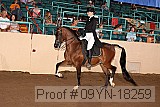 09yn-18259 proof
