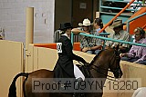 09yn-18260 proof
