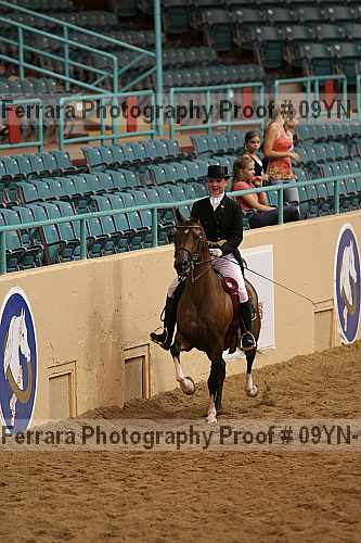 Proof 09yn-18297