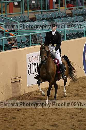 Proof 09yn-18299