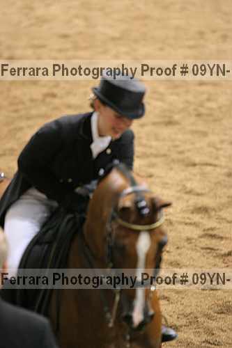 Proof 09yn-18300