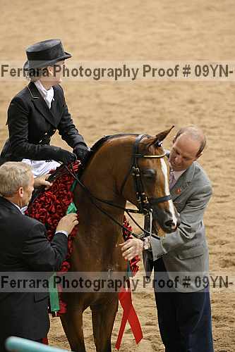 Proof 09yn-18306