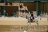 09yn-18339 proof