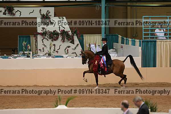 Proof 09yn-18347