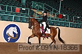 09yn-18366 proof