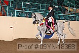 09yn-18368 proof