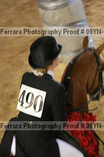 Proof 09yn-18373