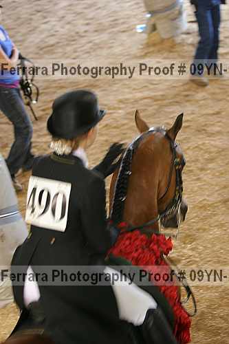 Proof 09yn-18374