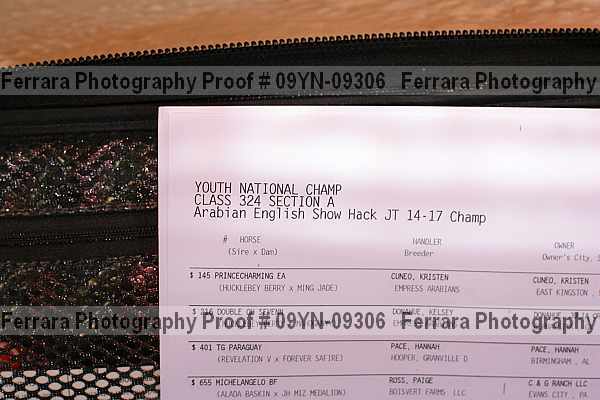 Proof 09yn-09306