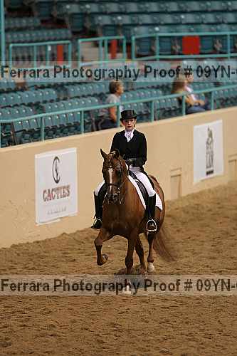 Proof 09yn-09309