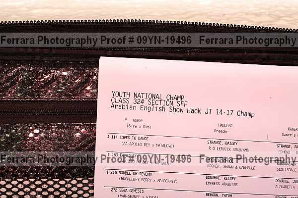 Proof 09yn-19496