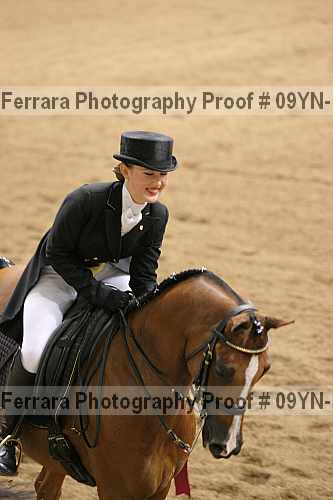 Proof 09yn-19513