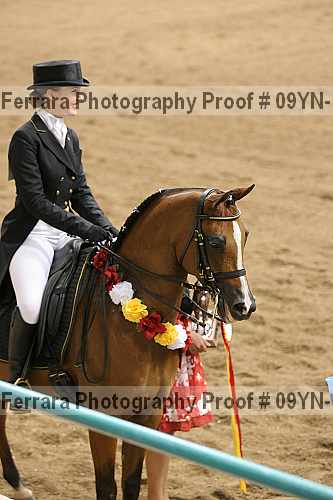 Proof 09yn-19516
