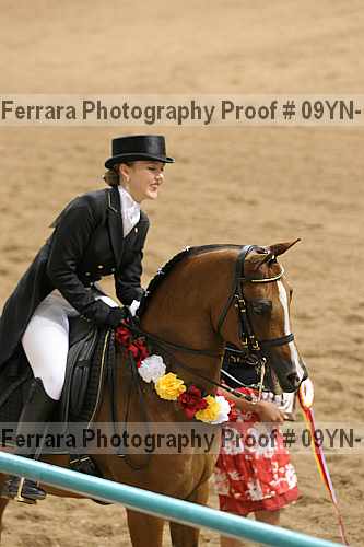 Proof 09yn-19519
