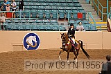 09yn-19561 proof