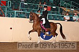 09yn-19575 proof