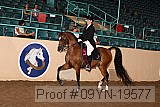 09yn-19577 proof
