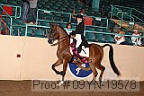 09yn-19578 proof